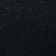carolina glitter black
